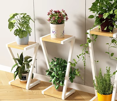 Diverse Bonsai Potted Plants On Wooden And White Plant Stands With Decorative Pots 3d model