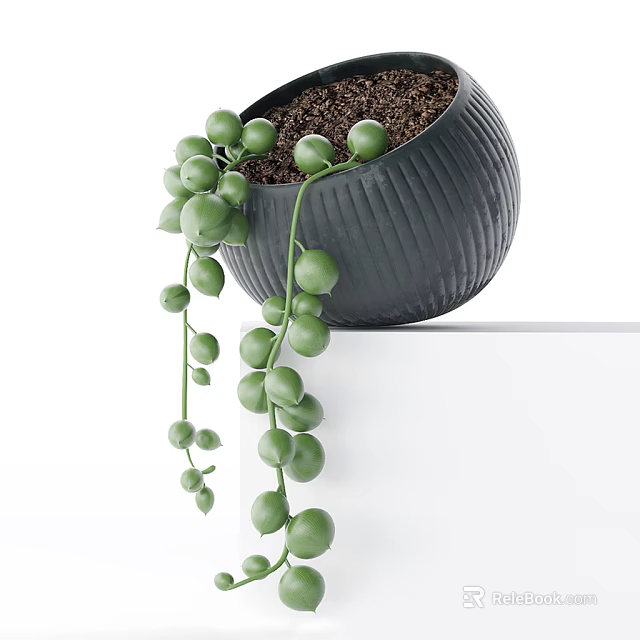Bonsai Potted Plant With Green Round Leaves Black Ribbed Pot And Hanging Vines 3d model 