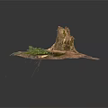 Modern Natural Scene With Tree Stump Green Plants And Moss Covered Ground