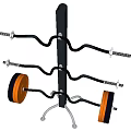 Sturdy Weight Plate Storage Rack With Curved Hooks And Colorful Weight Plates
