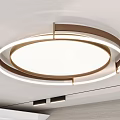 Modern Circular Ceiling Light With Metal Frame And White Lampshade 3d model
