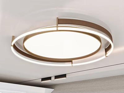 Modern Circular Ceiling Light With Metal Frame And White Lampshade 3d model