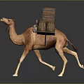 Camel Carrying Stacked Luggage Packs On Its Back While Walking