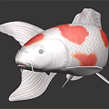 White and Red Koi Fish with Colorful Spots Fins and Tail on Dark Reflective Surface
