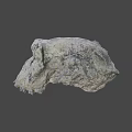 Detailed Textured Skull Model With Cracked Surface And Blue Spots