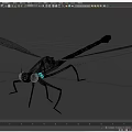 3D Rendered Dragonfly Models With Green Body White Transparent Wings And Metallic Details