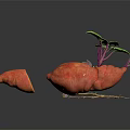 Whole Sweet Potatoes With Green Leaves Roots And Sliced Piece On Dark Background