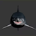 Realistic Striped Blue Shark 3D Model as Aquatic Animal with Sharp Teeth and Detailed Appearance