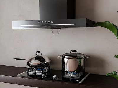 Modern Kitchen Appliances With Range Hood Gas Stove Pots And Green Plant 3d model