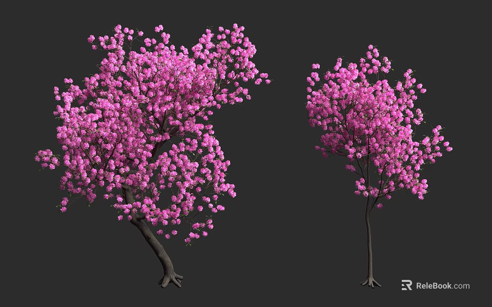 Vibrant Pink Flowering Trees with Lush Blossoms and Dark Trunks 3d model 