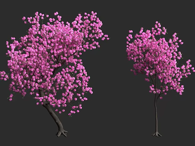 Vibrant Pink Flowering Trees with Lush Blossoms and Dark Trunks 3d model