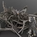 Pile of Dry Plant Roots and Branches With Wooden Stumps in Natural Setting