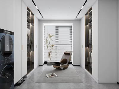 Modern Laundry and Walk-in Closet Space with White Cabinets Washing Machine Chair Plant and Rug 3d model