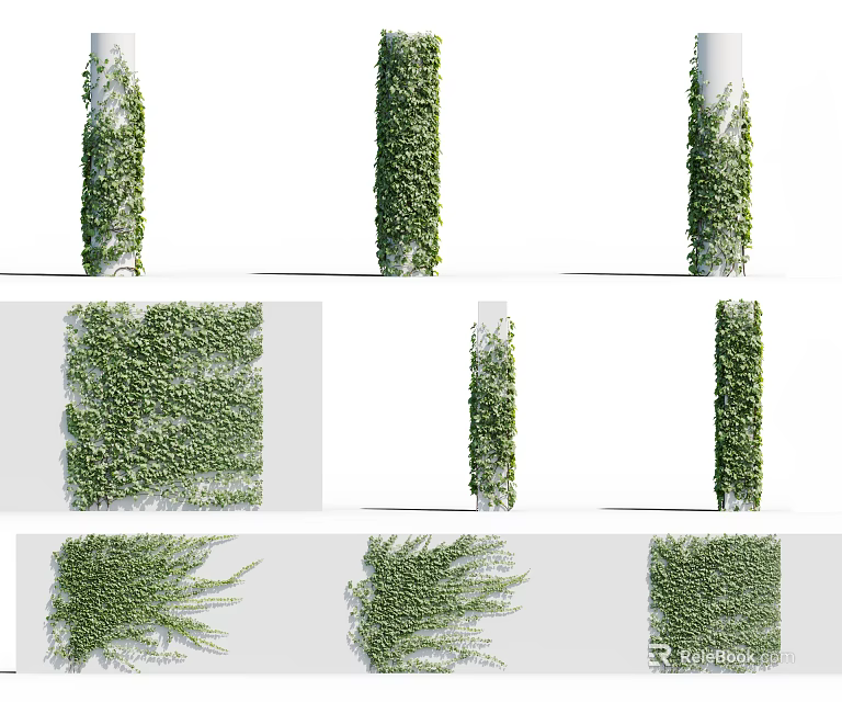 Lush Green Ivy Vines Covering Columns And Walls In Different Decorative Styles 3d model 