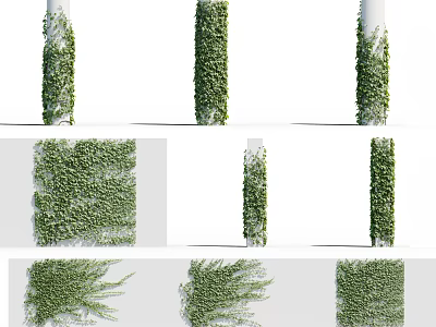 Lush Green Ivy Vines Covering Columns And Walls In Different Decorative Styles 3d model