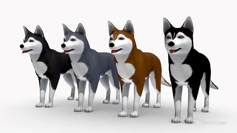Four Different Colored Husky Dogs Standing In A Row With Friendly Expressions 3d model 
