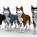 Four Different Colored Husky Dogs Standing In A Row With Friendly Expressions