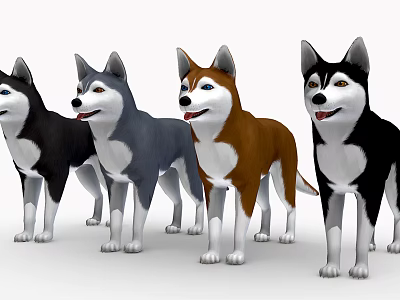 Four Different Colored Husky Dogs Standing In A Row With Friendly Expressions 3d model