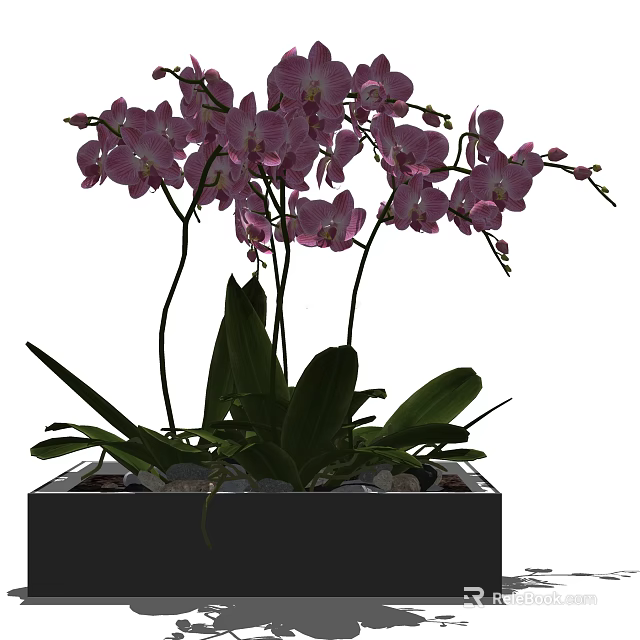 Decorative Bonsai Potted Plant With Purple Orchids Green Leaves In Black Square Pot 3d model 