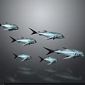 Group of Blue Low Poly Style Fish Swimming in Dark Background with Shiny Reflection