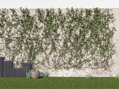 Lush Green Climbing Vines Covering Exterior Stone Wall With Lawn And Clay Pot 3d model
