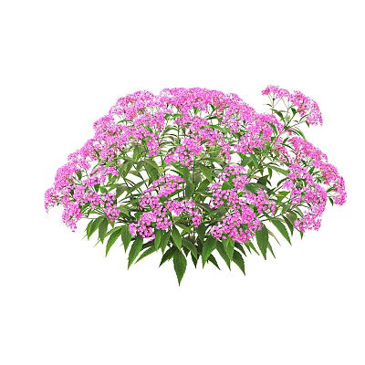 Modern Flower Courtyard Flowers and Grasses 3d model Modern Flower Courtyard Flowers and Grasses 3d model