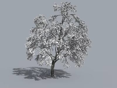 Leafy Arbor Tree with Dense Foliage and Dark Trunk on Gray Background 3d model