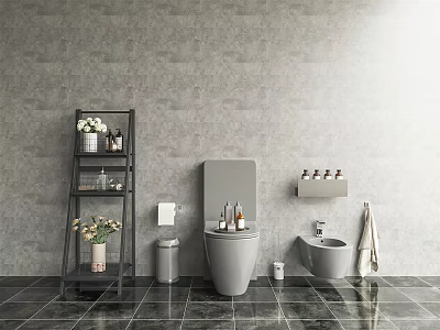 Modern Toilet Spray Towel Rack 3d model