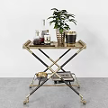 Stylish Gold Frame Serving Cart With Potted Plant Glass Bottles And Magazines