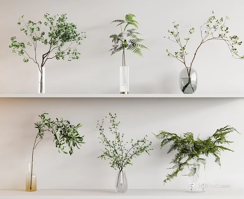Elegant Glass Vases With Green Plants And Decorative Branches On White Shelves 3d model 