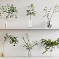 Elegant Glass Vases With Green Plants And Decorative Branches On White Shelves