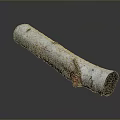 Natural Birch Log With White Bark And Red Spots Showing Rustic Texture 3d model