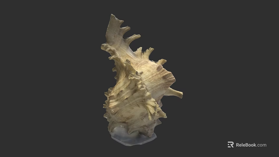 Conch Shell Sculpture Carving With Intricate Details And Natural Texture Design 3d model 