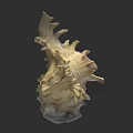 Conch Shell Sculpture Carving With Intricate Details And Natural Texture Design