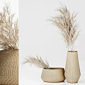 Set of Woven Vases With Dried Pampas Grass In Modern Home Decor