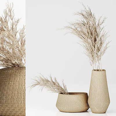 Set of Woven Vases With Dried Pampas Grass In Modern Home Decor 3d model