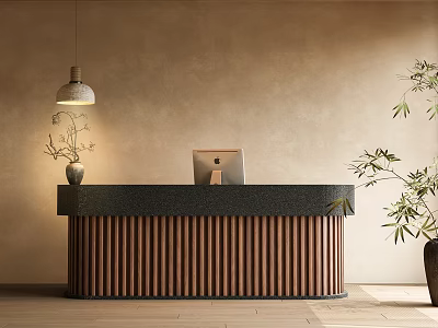 Modern Reception Desk With Wooden Slatted Design Dark Countertop Laptop Hanging Lamp And Green Plant 3d model