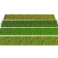 Various Shades of Green Grass Strips in Fresh Natural Colors for Garden Use