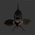 Realistic Fish with Large Blue Eyes Open Mouth and Spiky Dorsal Fin