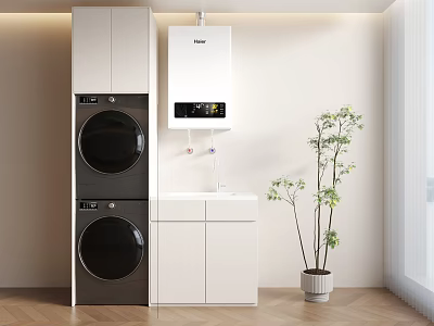 Modern Laundry Room Interior With Stacked Washer Dryer Water Heater White Cabinets And Green Plant 3d model