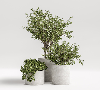 Modern potted plant potted combination 3d model