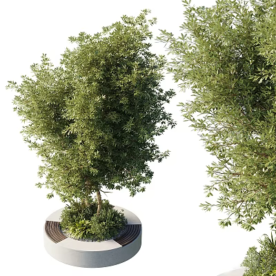 Modern Tree Planter with Lush Green Trees and Fresh Plants in Urban Garden 3d model