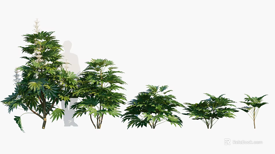 Green Leafy Shrubs In Various Sizes For Garden Landscaping With Dense Foliage 3d model 