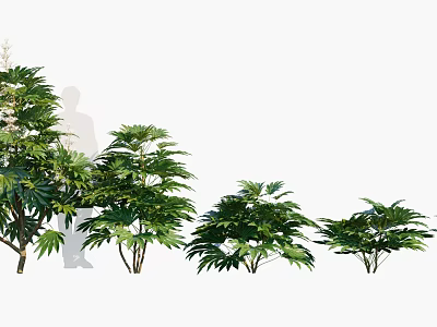 Green Leafy Shrubs In Various Sizes For Garden Landscaping With Dense Foliage 3d model