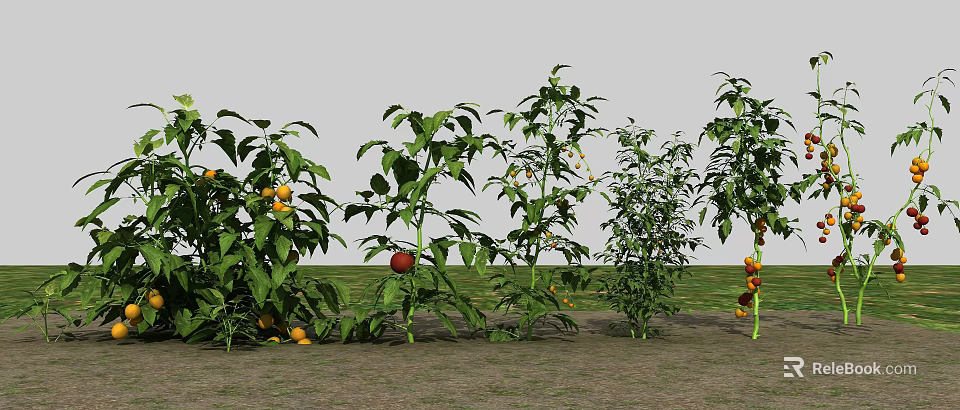 Fresh Green Leafy Plants With Yellow And Red Fruits In Garden Arrangement 3d model 