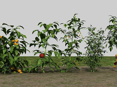 Fresh Green Leafy Plants With Yellow And Red Fruits In Garden Arrangement 3d model