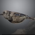 Detailed Colorful Bird With Blue Feathers Brown Body On Dark Reflective Surface