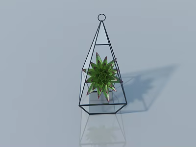 Black Geometric Frame Succulent Potted Plant On Smooth Surface With Reflection 3d model