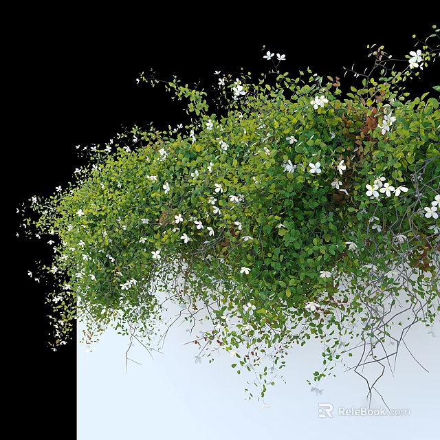 Lush Green Vines With White Flowers Hanging On Wall 3d model 