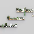Bonsai and Potted Plants Arranged On Tiered Wall Shelves With Decorative Frames And Ornaments